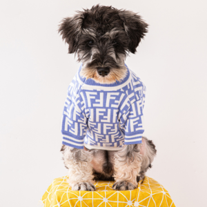 fendi dog sweater