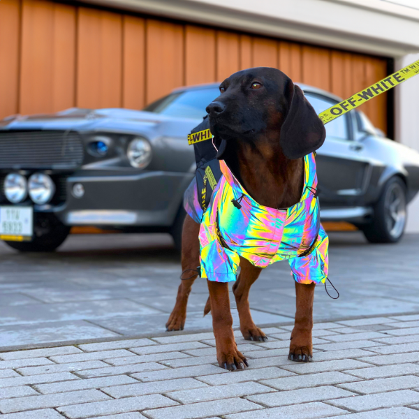 Supreme dog garage designer dog clothes