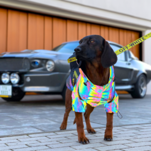 Supreme dog garage designer dog clothes
