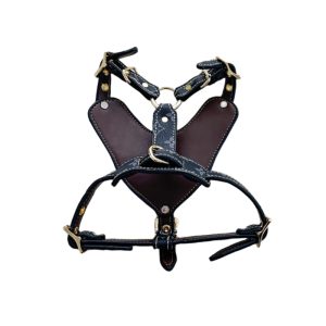 louis vuitton harness for dogs