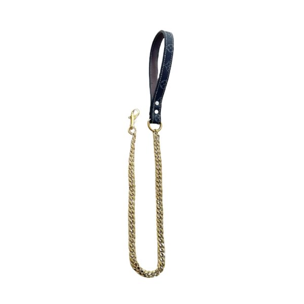 louis vuitton dog leash