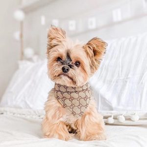 designer dog gucci bandana