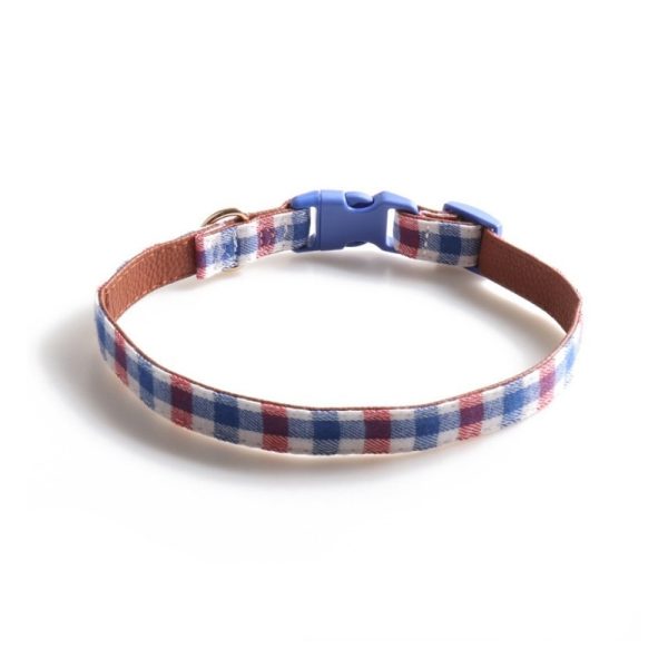 designer collar for dogs