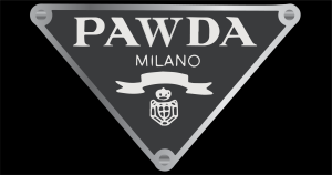 Pawda