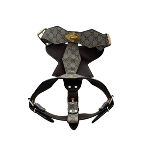 gucci harness for dogs