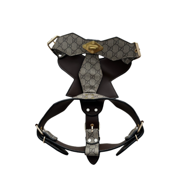 gucci harness for dogs