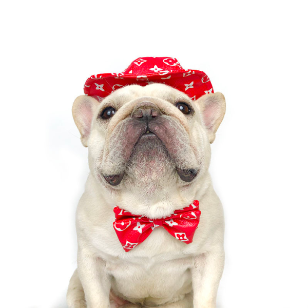 Pupreme X Louis Pawtton Essentials Designer Dog Hat & Bow Tie - Image 8