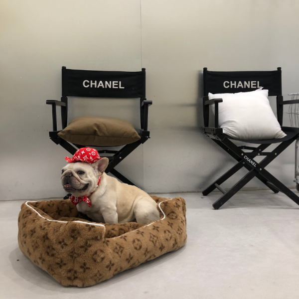 Pupreme X Louis Pawtton Essentials Designer Dog Hat & Bow Tie - Image 9