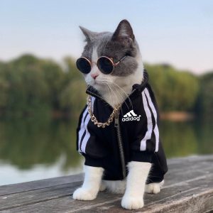 Adidog Chest Logo Streetwear Dog Jacket