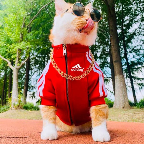 Adidog Chest Logo Streetwear Dog Jacket - Image 3