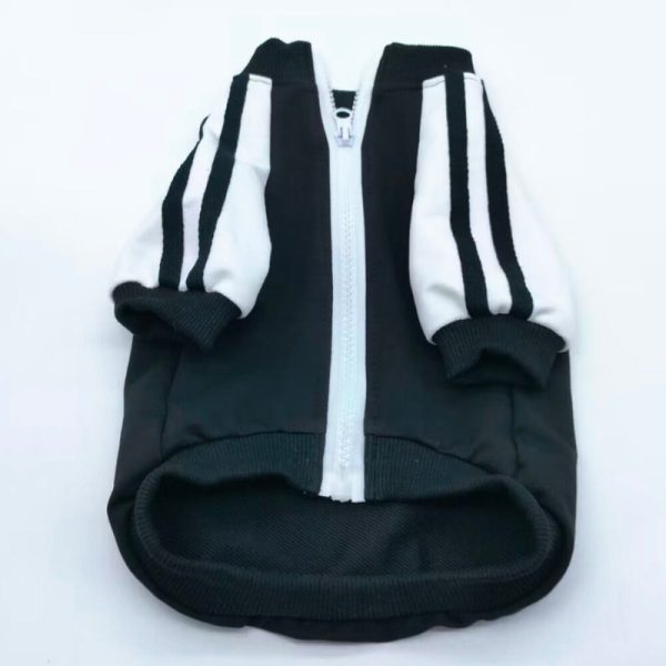 Adidog x Pupcci Back Logo Streetwear Dog Jacket - Image 6