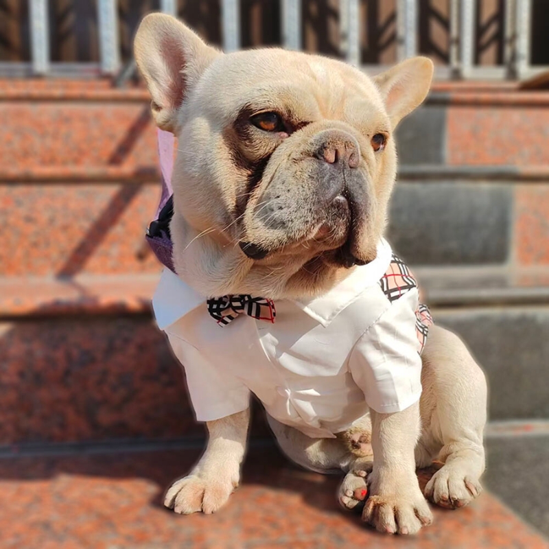Furberry Plaid Elegant Dog Shirt with Bowtie - Image 7