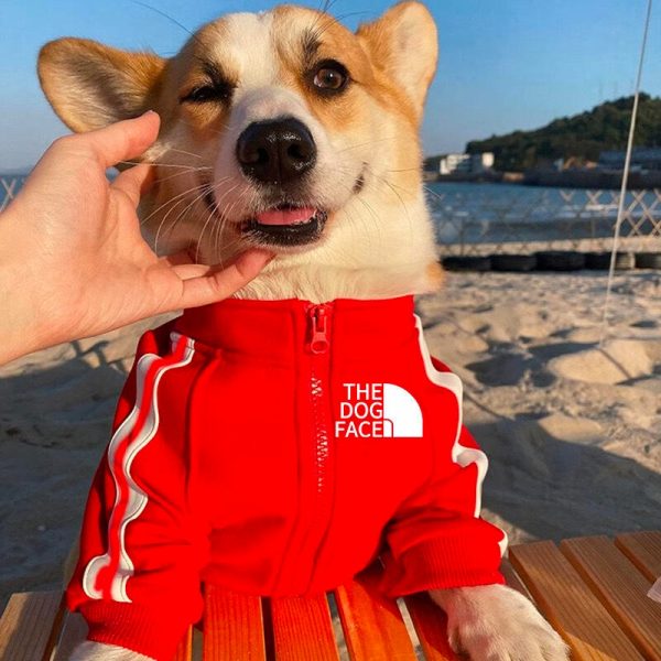 The Dog Face Chest Logo Designer Dog Jacket - Image 4