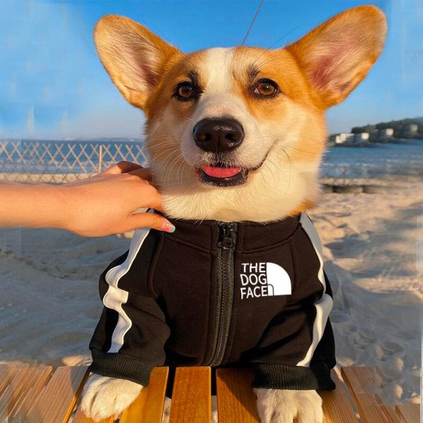 The Dog Face Chest Logo Designer Dog Jacket - Image 5