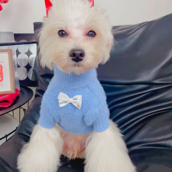 Chance Paris Bow Designer Dog Sweater - Image 10