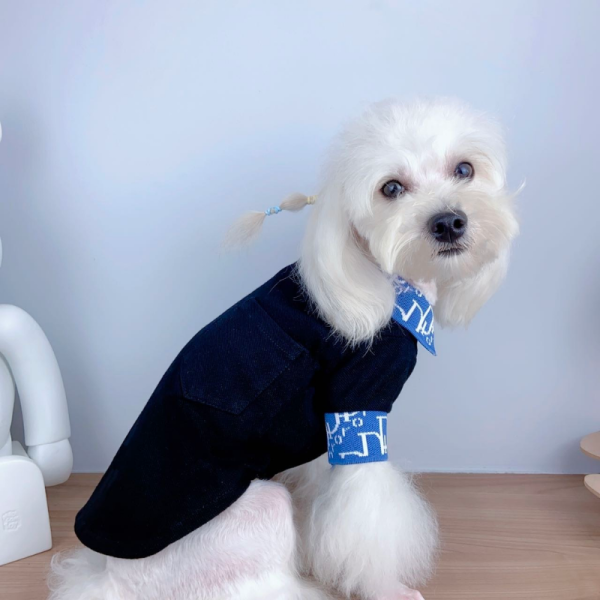 Dogior Monogram Royale Designer Dog Polo Shirt - Image 6