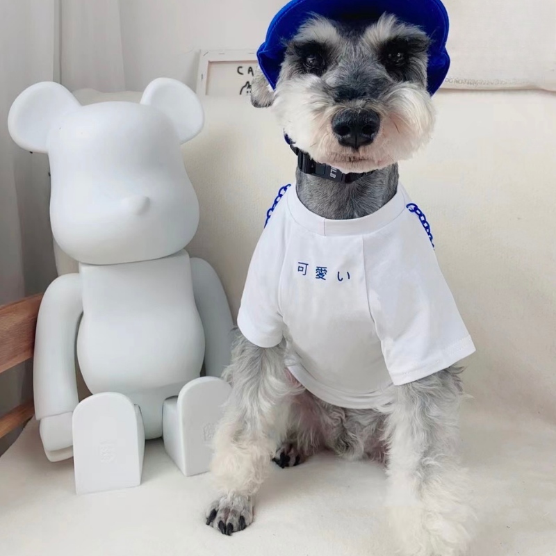 KEAI Bag Edition Designer Dog Sweatshirt - Image 5