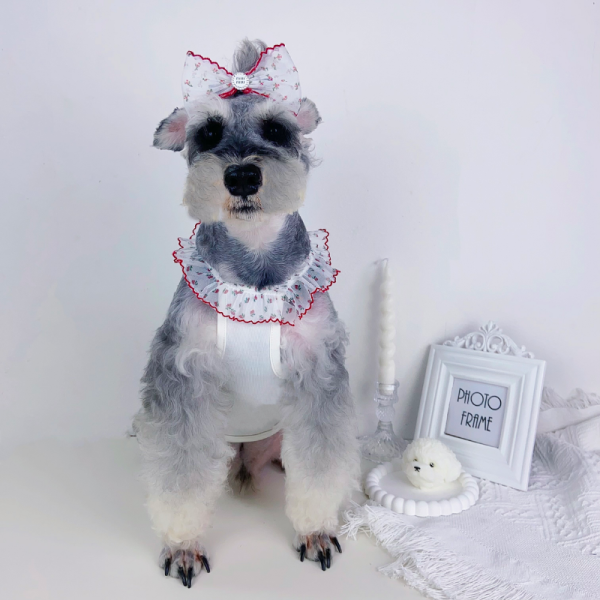 Mui Mui Elegant Lace Designer Dog Dress with Matching Bow - Image 13