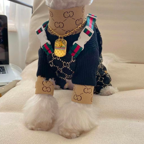 Pawcci Teddy Monogram Designer Dog Dress - Image 3