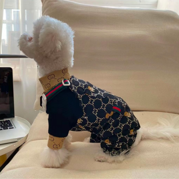 Pawcci Teddy Monogram Designer Dog Dress - Image 2