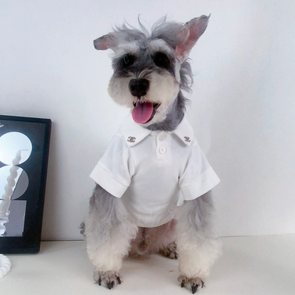 Chewnel Patch Logo Designer Dog Polo Shirt - Image 25