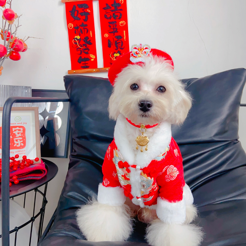 Imperial Dragon Designer Dog Coat - Image 11