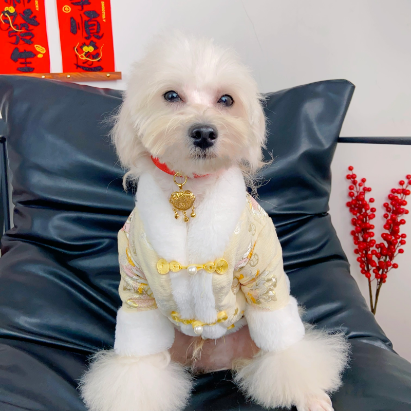 Imperial Dragon Designer Dog Coat - Image 9