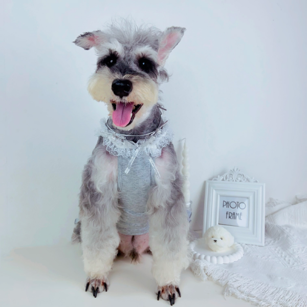 Maison Barkgiela Designer Dog Lace Dress - Image 12