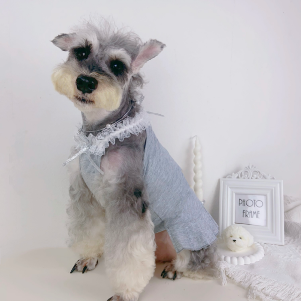 Maison Barkgiela Designer Dog Lace Dress - Image 13