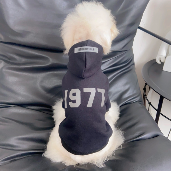 Fear of Dog Pawssentials 1977 Style Designer Dog Hoodie - Image 13