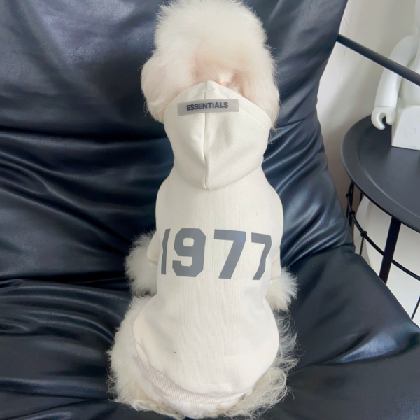 Fear of Dog Pawssentials 1977 Style Designer Dog Hoodie - Image 12
