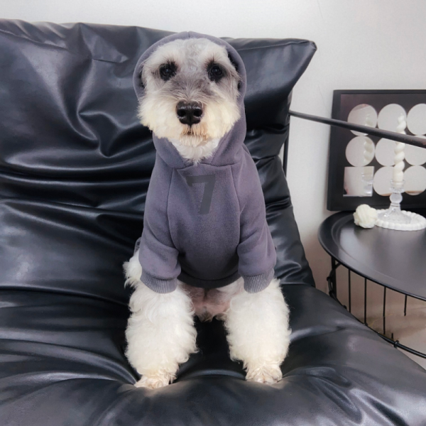 Pawssentials ABC Designer Dog Jumpsuit - Image 12