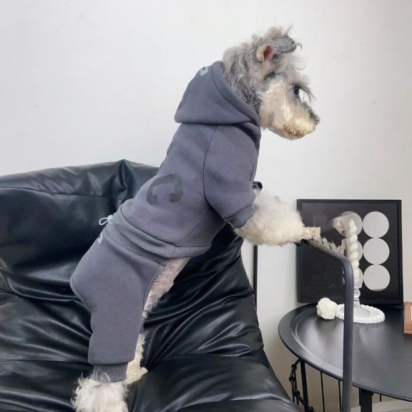 Pawssentials ABC Designer Dog Jumpsuit - Image 14