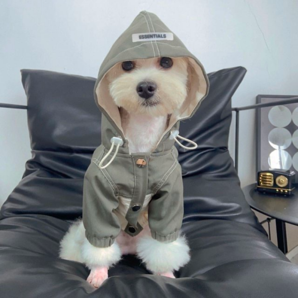 Pawssentials Designer Dog Jacket With Hood - Image 8