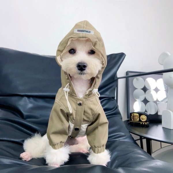 Pawssentials Designer Dog Jacket With Hood - Image 7