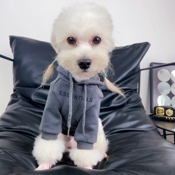 Fear of Dog Pawssentials Reflective Strips Designer Dog Hoodie - Image 6