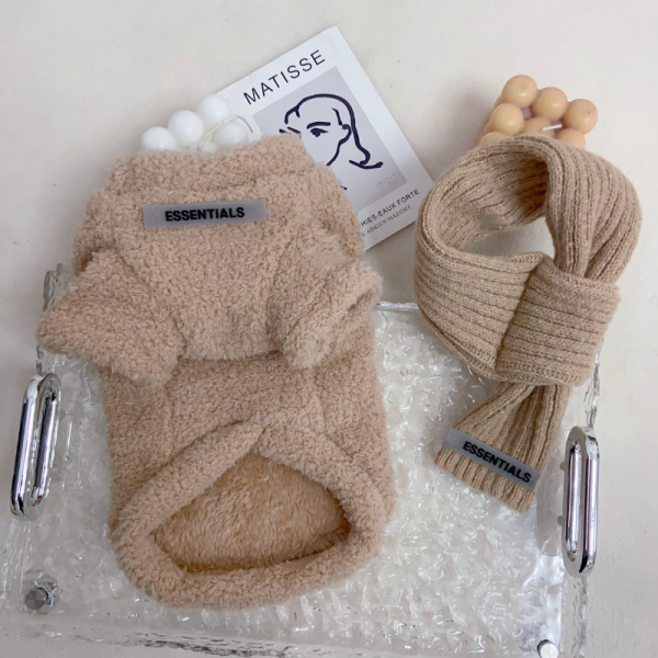 Pawssentials Teddy Designer Dog Sweatshirt with Scarf - Image 7