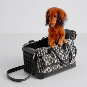 Dogior Monogram Designer Dog Travel Carrier