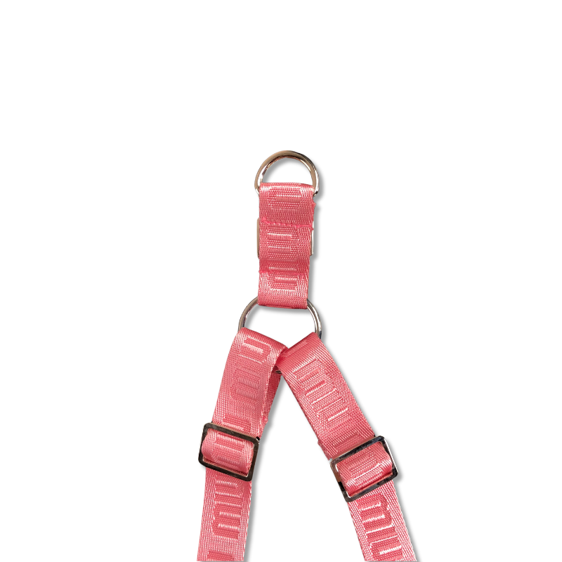 Mui Mui Monogram Designer Dog Harness & Leash - Image 4