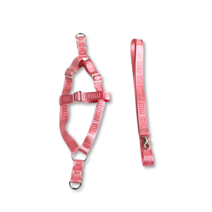 Mui Mui Monogram Designer Dog Harness & Leash