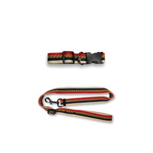 Furdi Multicolor Monogram Designer Dog Collar & Leash Set