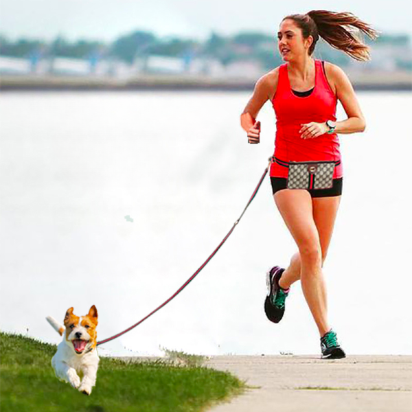 Pawcci Essentials Monogram Designer Dog Leash Bag - Image 11