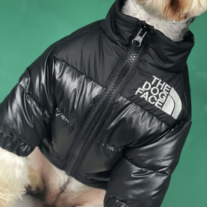 pet winter jacket, black color