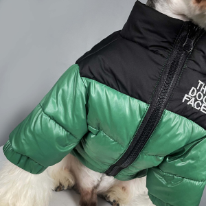 green winter pet jacket