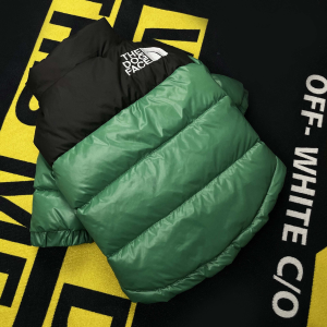 green winter pet jacket