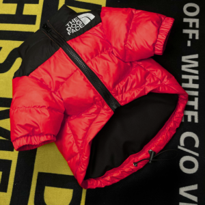 red winter pet jacket