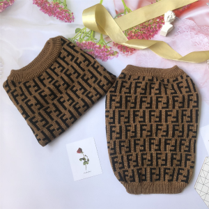 winter sweater brown