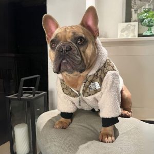 cozy pet jacket