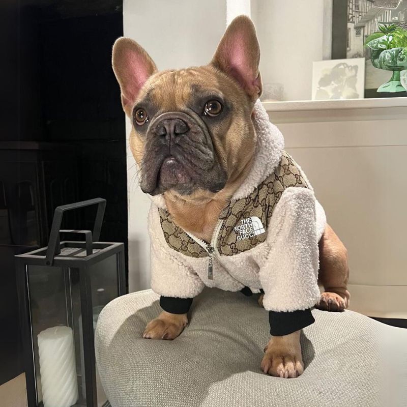 cozy pet jacket
