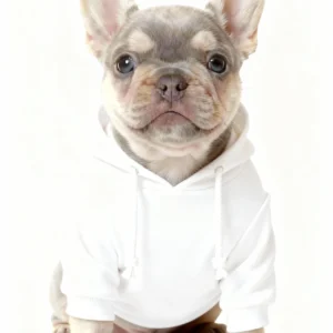 adidas dog hoodie white front view